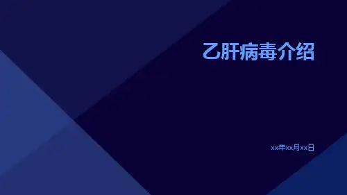 乙肝病毒介绍