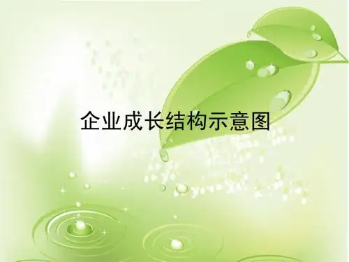 企业成长结构示意图