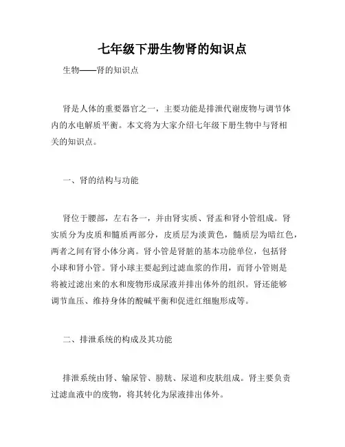 七年级下册生物肾的知识点