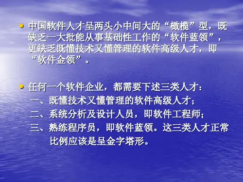 中国软件行业的发展前途PPT资料66页
