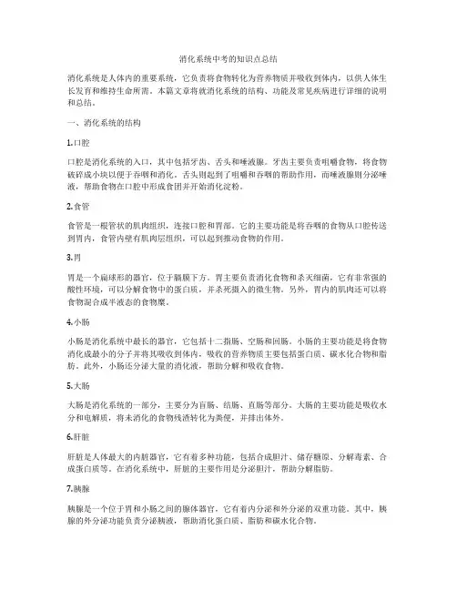 消化系统中考的知识点总结