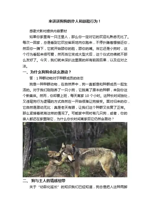 来谈谈狗狗的扑人和舔脸行为！