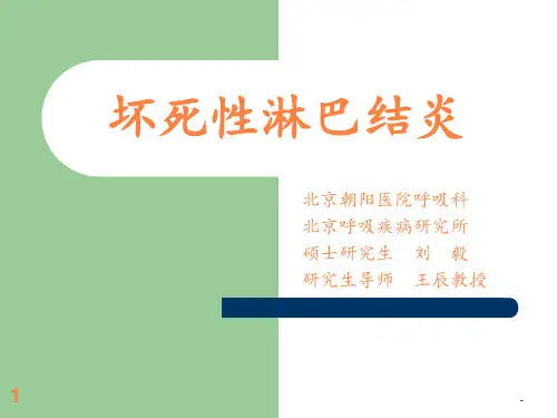 坏死性淋巴结炎ppt课件