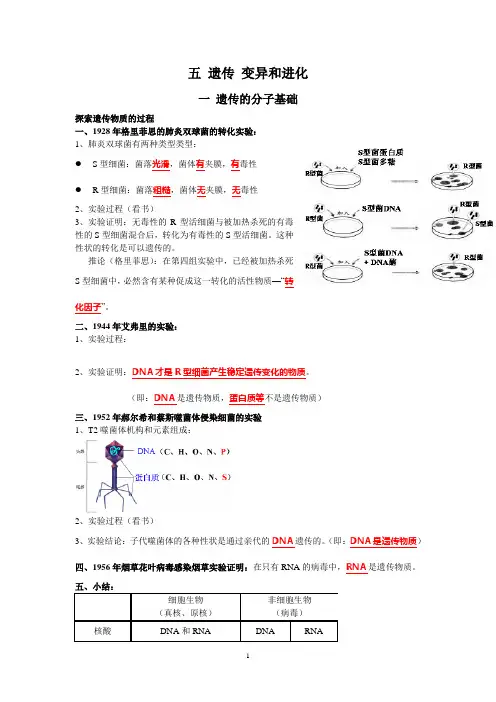 2014年高考生物复习素材：五 遗传变异和进化