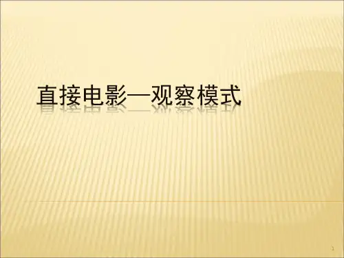 记录片六种类型-反身模式ppt课件