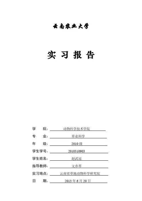 草地杂草实习报告