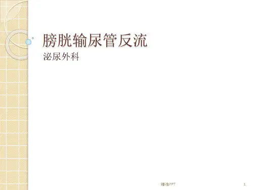 膀胱输尿管反流