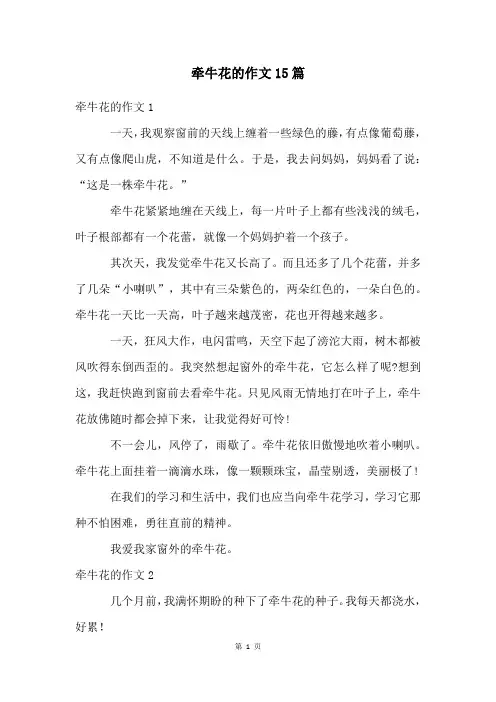 牵牛花的作文15篇