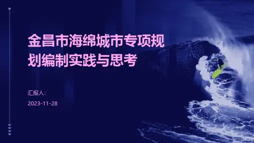 金昌市海绵城市专项规划编制实践与思考