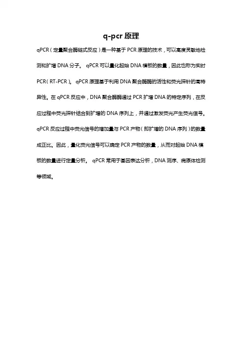 q-pcr原理