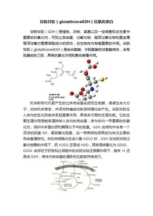 谷胱甘肽（glutathioneGSH）抗氧化美白