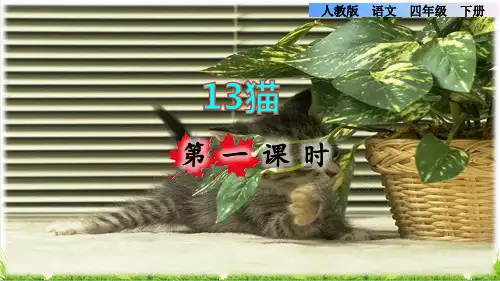 部编版四年级语文下册第四单元第13课《猫》课件