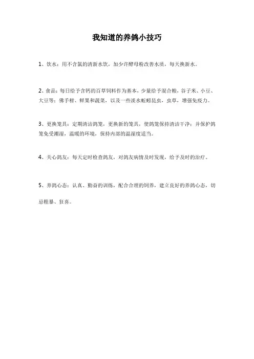 我知道的养鸽小技巧