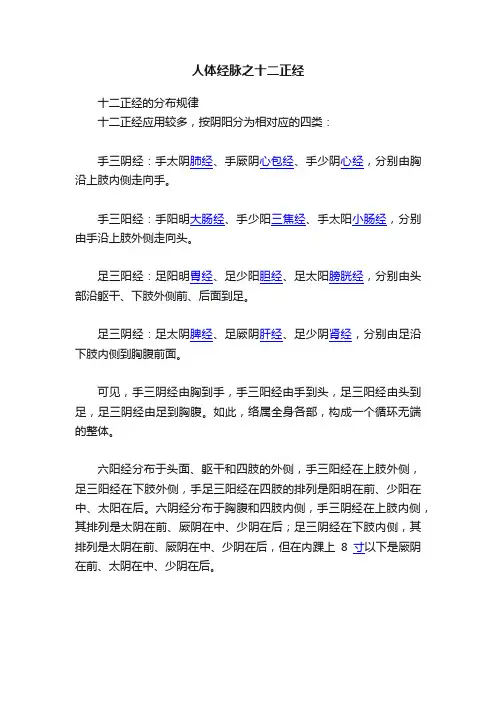 人体经脉之十二正经
