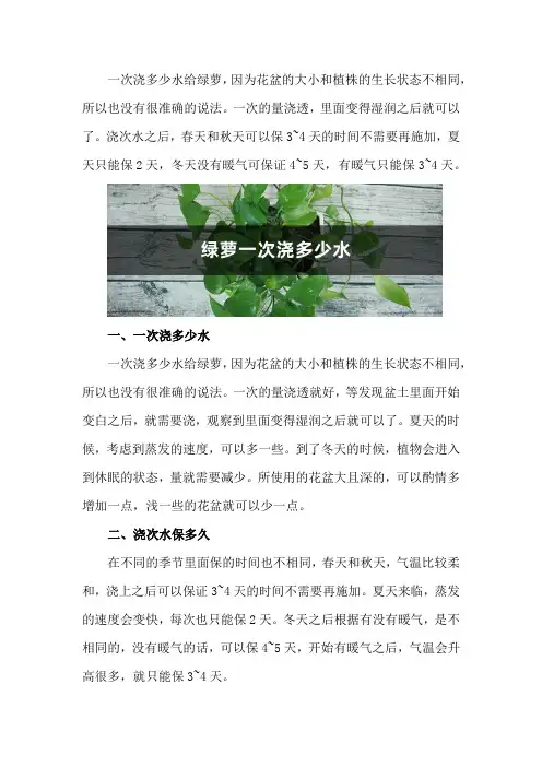 绿萝一次浇多少水合适,浇次水保多久