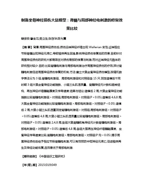 制备坐骨神经损伤大鼠模型:脊髓与局部神经电刺激的修复效果比较