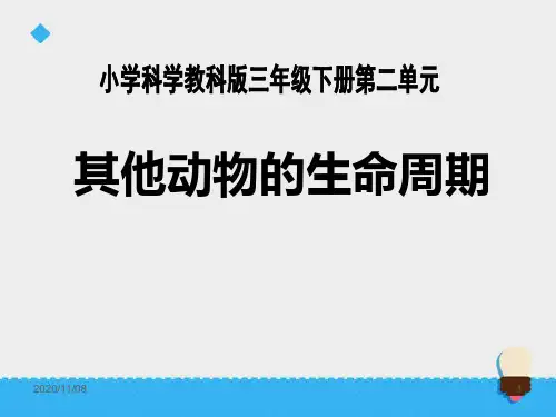教科版三年级下册科学 《其他动物的生命周期》动物的生命周期PPT教学课件2