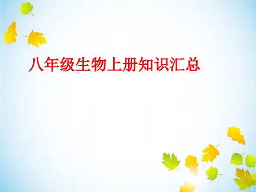 人教版八年级上册生物全册知识汇总(131张ppt)课件(共131张PPT)
