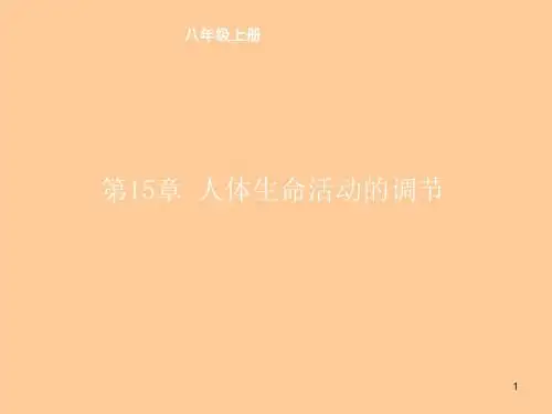 【精品】最新苏科版八年级生物上册 《第15章 人体生命活动的调节》课件(21张PPT)