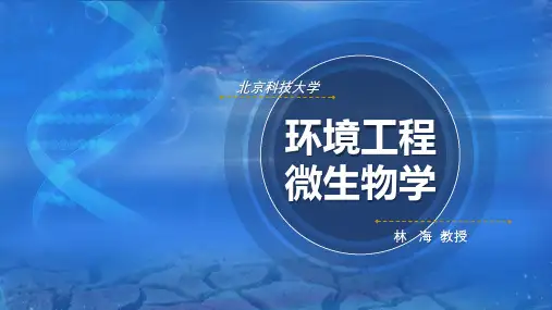 02-6.3 活性污泥法 课件