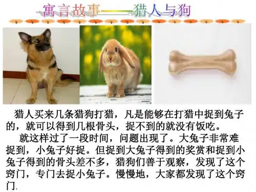第四课第二框切好蛋糕 共同富裕课件(共18张PPT)