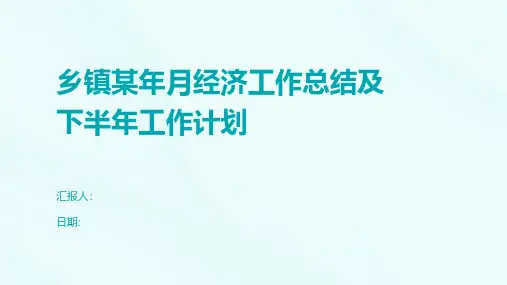 乡镇某年月经济工作总结及下半年工作计划