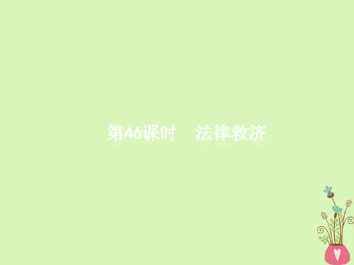 高考政治一轮复习46法律救济ppt课件全省公开课一等奖