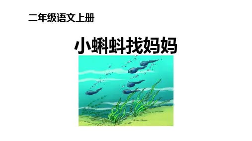 《小蝌蚪找妈妈》ppt课件
