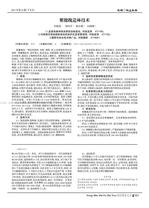 紫穗槐造林技术