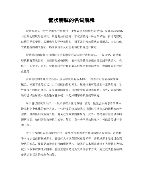 管状膀胱的名词解释