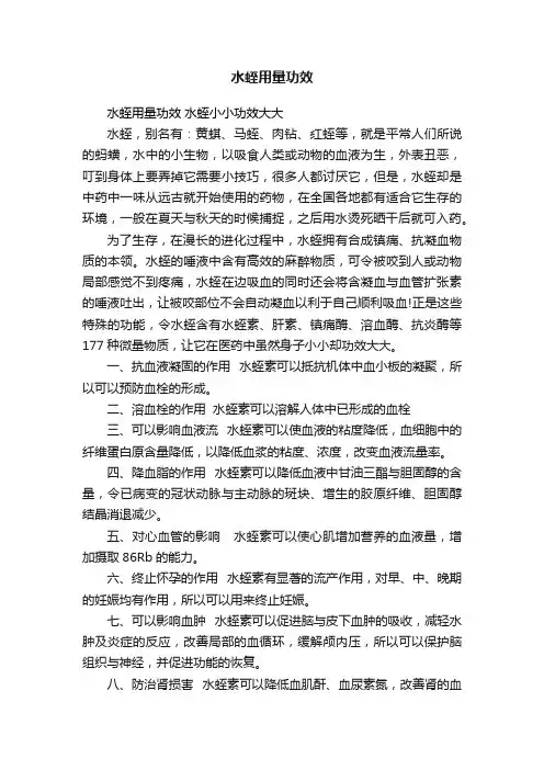 水蛭用量功效