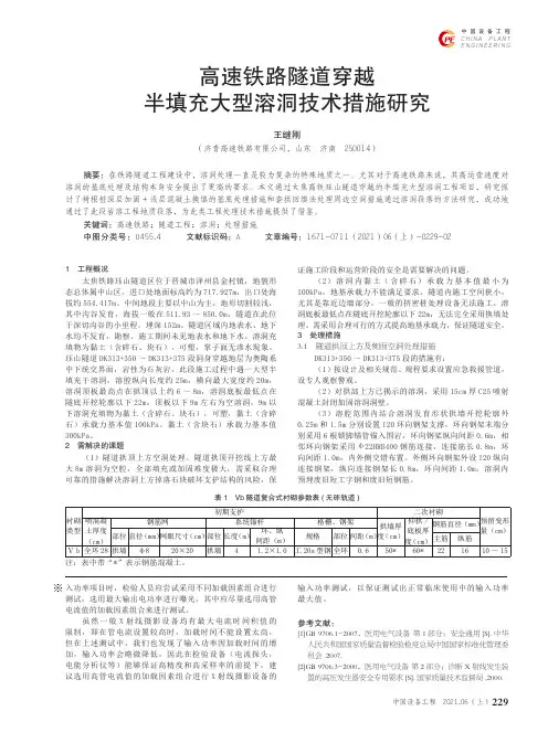 高速铁路隧道穿越半填充大型溶洞技术措施研究