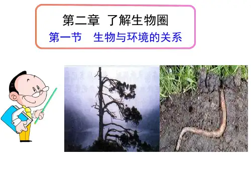 人教版生物七年级上册.1-生物和环境的关系课件