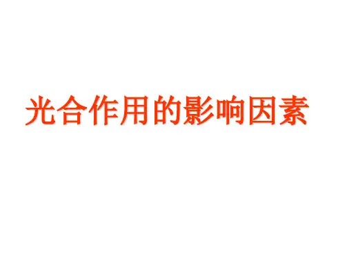 光合作用的影响因素