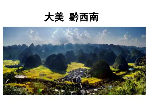 人教课标版高中生物必修1公开课课件-《消费及其类型》