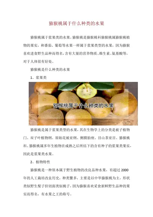 猕猴桃属于什么种类的水果