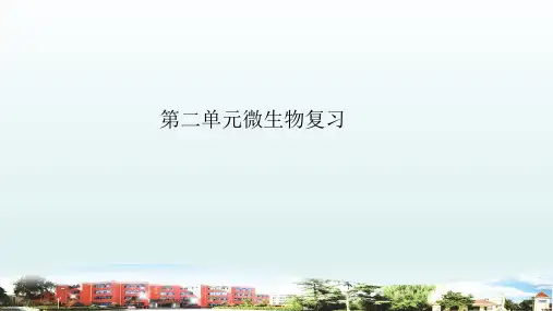 小学科学青岛版六三制六年级上册第二单元《微生物》复习课件(2022)