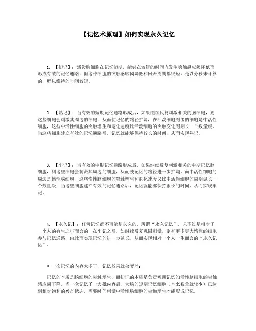 【记忆术原理】如何实现永久记忆