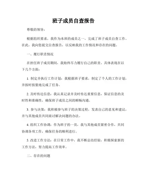 班子成员自查报告