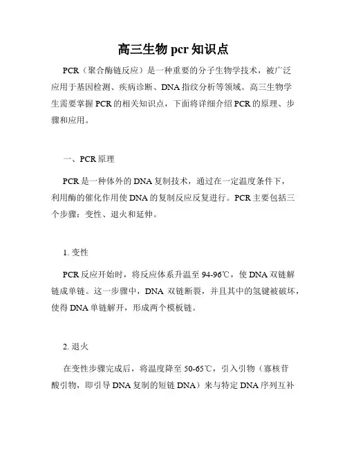 高三生物pcr知识点