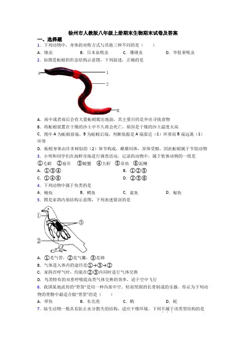 徐州市人教版八年级上册期末生物期末试卷及答案