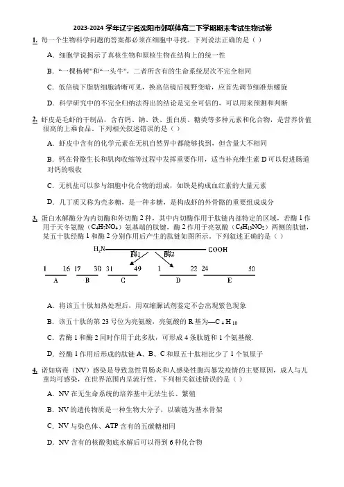 2023-2024学年辽宁省沈阳市郊联体高二下学期期末考试生物试卷