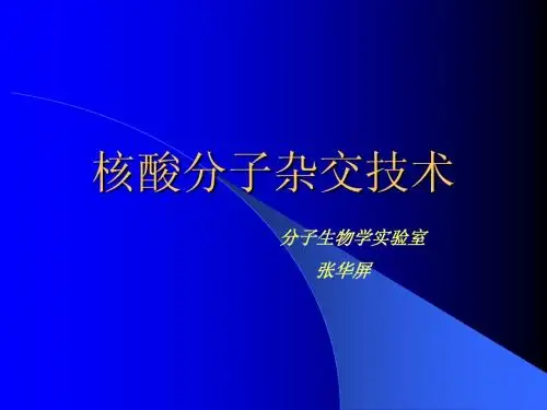 核酸分子杂交技术