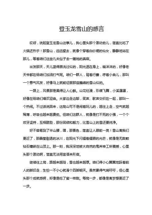 登玉龙雪山的感言