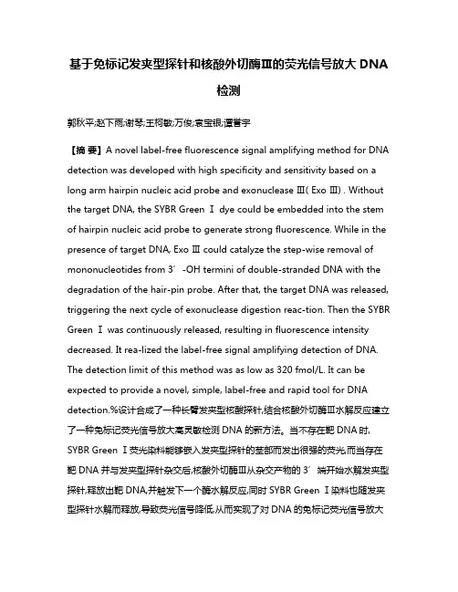 基于免标记发夹型探针和核酸外切酶Ⅲ的荧光信号放大DNA检测