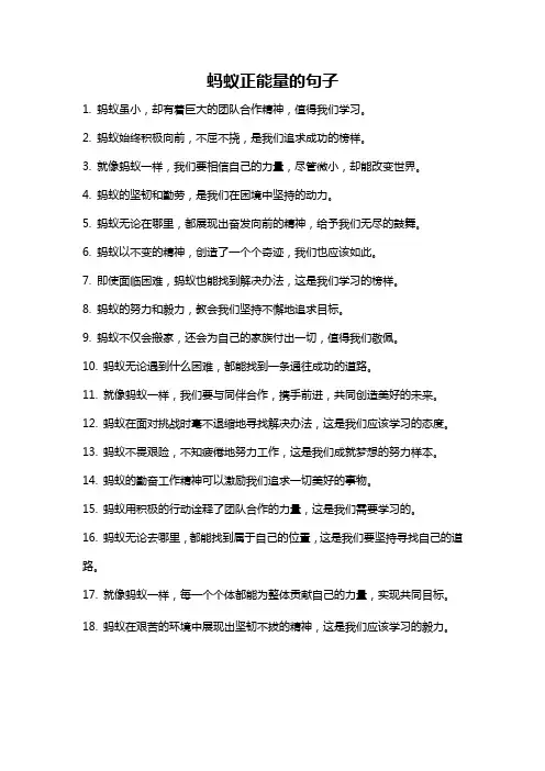 蚂蚁正能量的句子