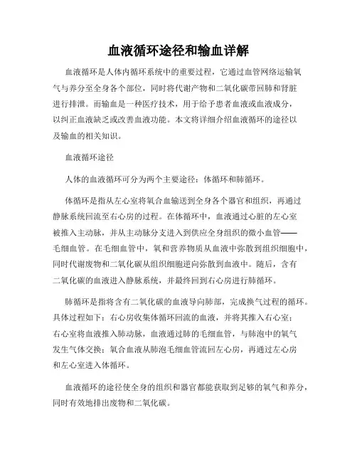 血液循环途径和输血详解