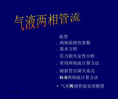 气液两相管流分解ppt课件