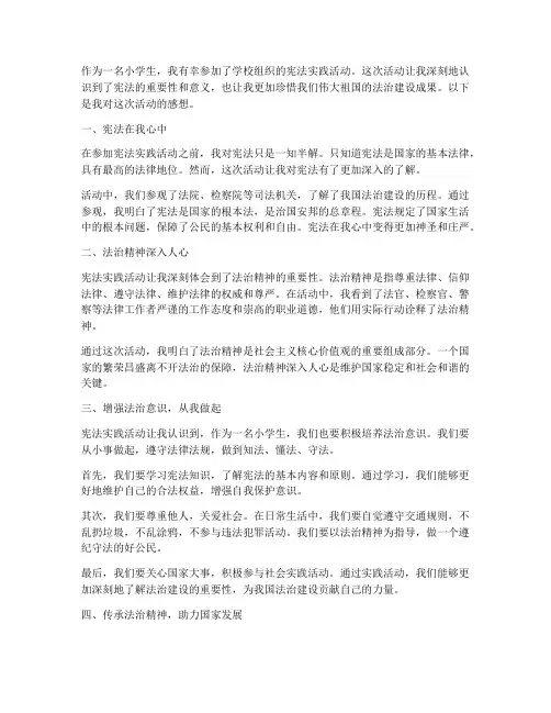 小学生宪法实践活动感想