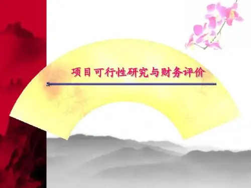 可行性研究与财务评价